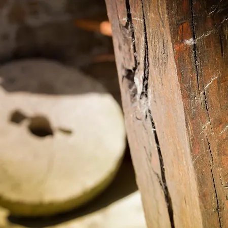 哥斯达德艾格旅馆 3* Carral