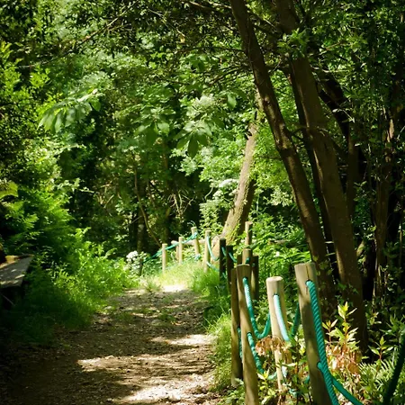 哥斯达德艾格旅馆 招待所 Carral